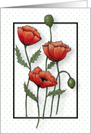 Blank Inside All Occasion with Drawing of Red Poppy Flowers and Dots card