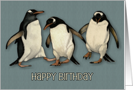 Happy Birthday Three Cute Penguins Color Pencil Art Wildlife Birds card