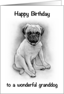 Happy Birthday to To Wonderful Granddog With Pug Dog Drawing card