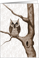 Any Occasion Blank Inside Drawing of Big Eyed Owl in Tree Sepia Art card
