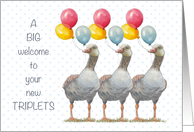 Welcome to Triplets with Three Geese Holding Balloons and Tiny Dots card