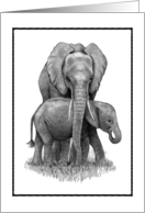 Any Occasion Blank Inside Elephant Mom and Baby Pencil Drawing card