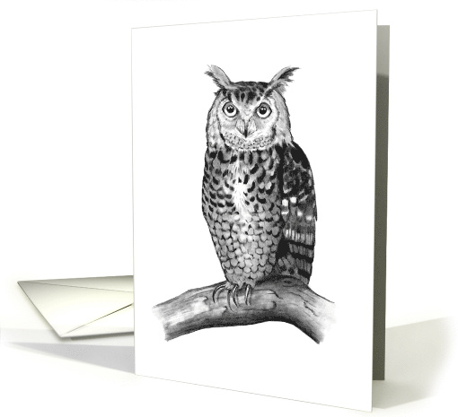 Any Occasion Blank Inside Owl Perched on Branch Pencil Drawing card