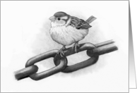 Any Occasion Blank Inside with Pencil Drawing of Bird on a Chain card