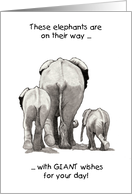 General Congratulations with Elephants Giant Wishes Pencil Drawing card