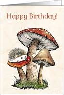 Happy Birthday For Child With Hedgehog and Toadstools Illustration card