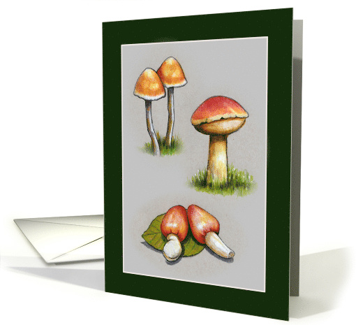 Any Occasion Blank Inside With Mushrooms, Botanical Drawings card