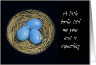 Nest Expanding: Pregnancy Congratulations: Blue Eggs In Nest card