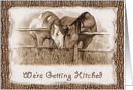 We’re Getting Hitched Western Wedding Invitation Horse Lovers Art card