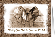 Wedding Congratulations Getting Hitched: Two Horses Nuzzling, Sepia card