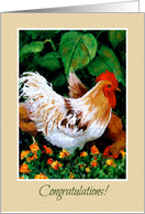 Congratulations New Job, Rooster in Garden, Something To Crow About card