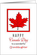 For Granddaughter Canada Day Greeting Card-Red Maple Leaf card