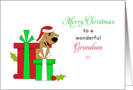 For Grandson Christmas Card-Brown Dog-Santa Hat-Christmas Presents card