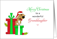 For Granddaughter Christmas Card-Brown Dog-Santa Hat-Christmas Present card
