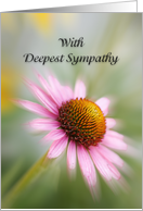 Sympathy Greeting Card with Pink Cone Flower card