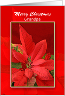 For Grandpa Christmas Greeting Card with Red Poinsettia card
