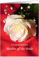Congratulations Mother of the Bride Greeting Card-White Rose card