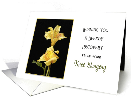Knee Surgery Get Well Feel Better Greeting Card - Two... (507702)