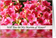 Matron of Honor Cards-Kalachoe card