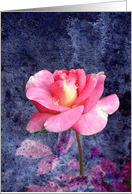 Pink Rose - Blank Note Card