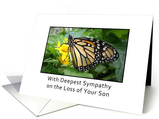 Loss of Son Sympathy, butterfly card (650314)