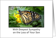 Loss of Son Sympathy, butterfly card