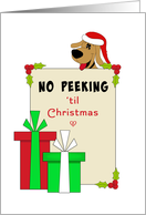 No Peeking Christmas Card-Money Card-Presents-Dog Wearing Santa Hat card