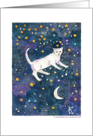 Sympathy: Cat & crescent moon starry night sky card