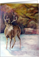 deer card