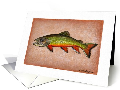 Fishing - Brook Trout card (187306)