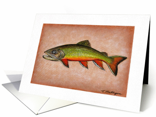 Fishing - Brook Trout card (187310)
