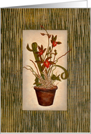 Floral - Potted Tiger Orchid card