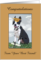 Boston Terrier Wearing Cap, Graduation to Son, 2024, Custom Text card
