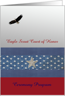 Flying Eagle Scout Court of Honor Ceremony Program, Custom Text card