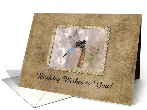 Dragonfly, Birthday, Custom Text card (173002)