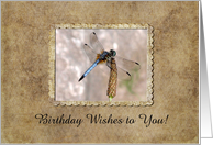 Dragonfly, Birthday, Custom Text card