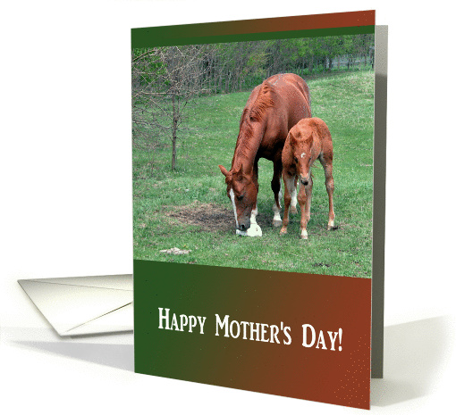 Young and Old Horse, Mother's Day card (174057)