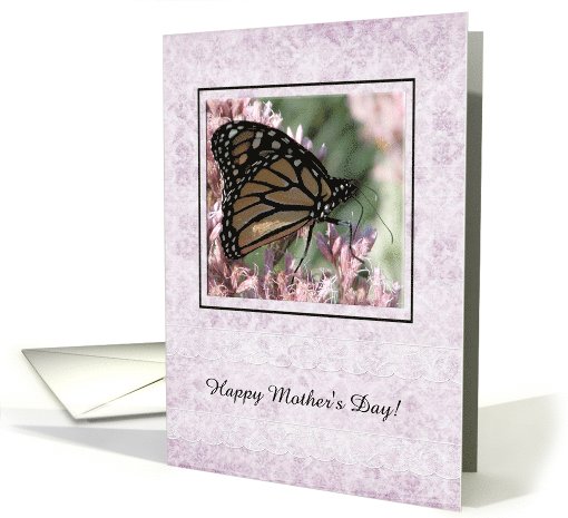 Monarch Butterfly, Mother's Day, Custom Text card (182775)