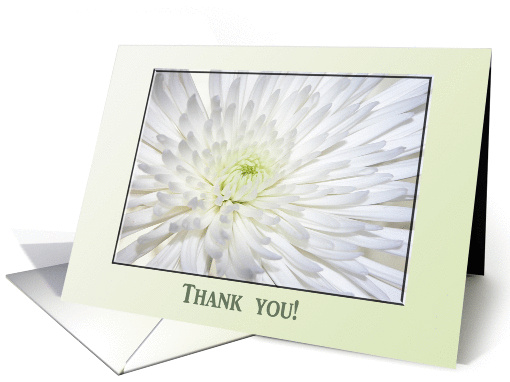 White Beauty Thank you! card (183914)