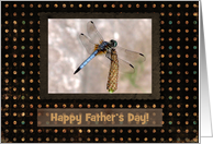 Dragonfly, Father’s Day card