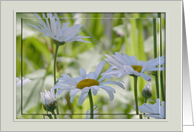 Thank You!, White Flowers in the Field card