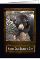 Black Bear, Grandparents Day card