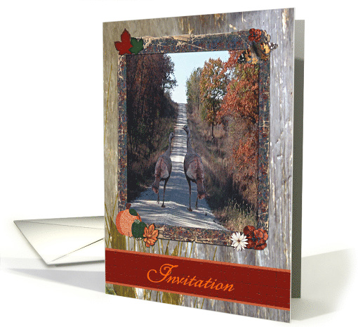 Two Turkeys for Thanksgiving, Custom Text Invitation card (246737)