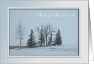 Trees and Snow, Merry Christmas! card
