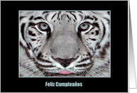 blanco el tigre, White Tiger, Feliz Cumpleaos card