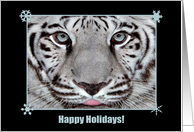 White Tiger, Happy Holidays card