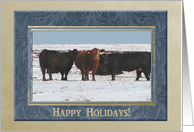 Cows in the Snow, Happy Holidays! card