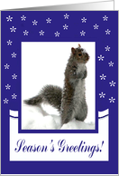 Snow Creature, Season’s Greetings card