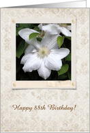 Happy 88th Birthday!, White Clementis, Custom Text card