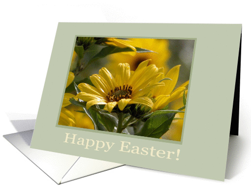 Yellow Flowers for Easter card (376414)